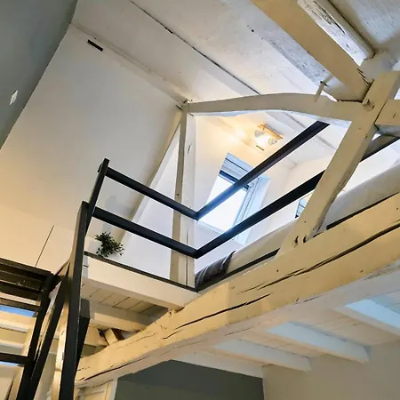 Triplex In The Heart Of Old * Lilla